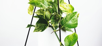 世界杯足球比赛高清直播画面，球员正在激烈拼抢